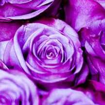 引爆增长引擎的DDOS在线攻击